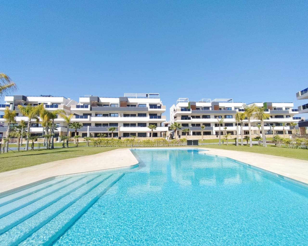 Apartment · New Build · Playa Flamenca  · Playa Flamenca 