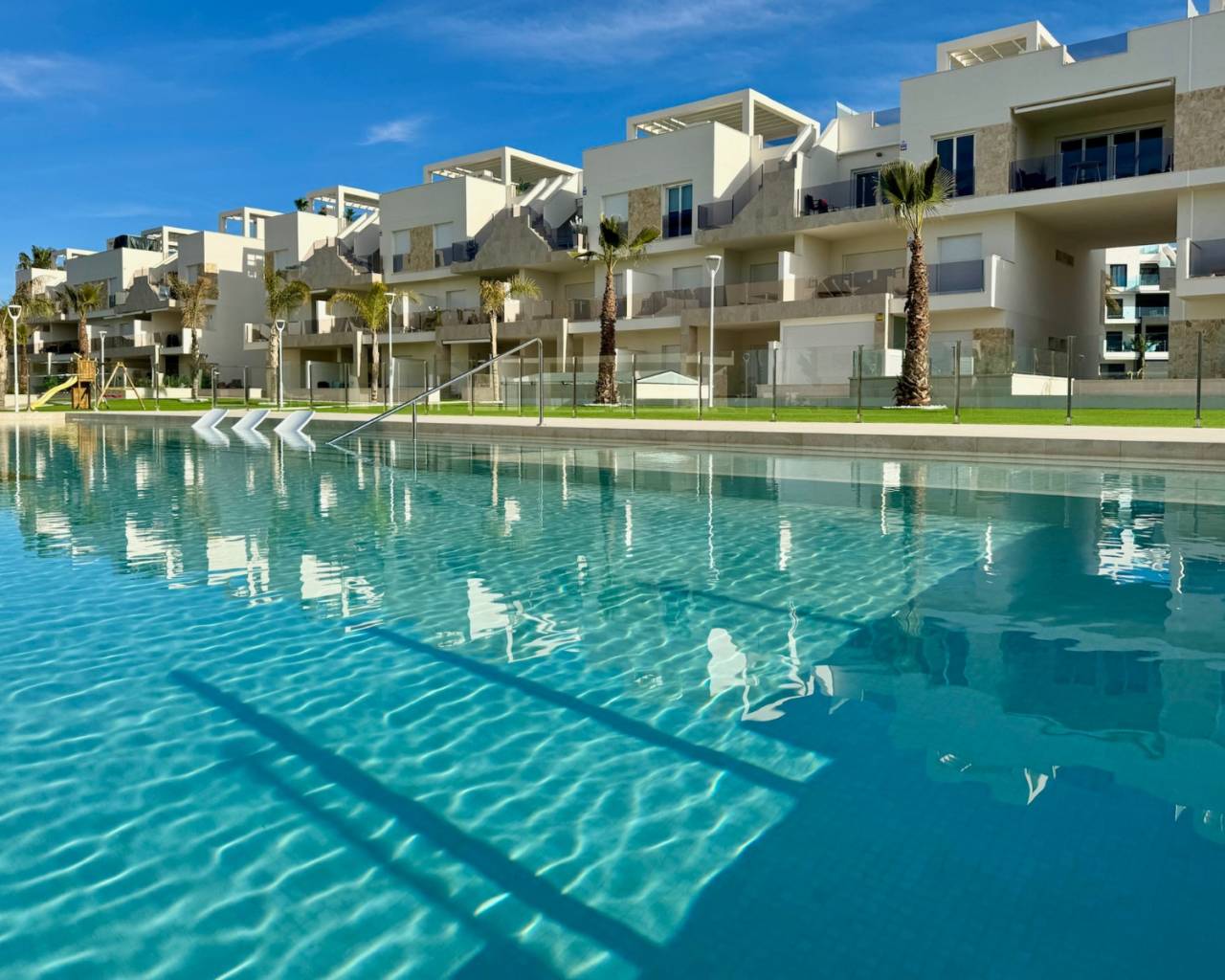 Appartement - Nouvelle construction - Guardamar del Segura - LNH3684