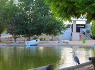 Benijófar